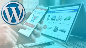Advanced WordPress Course for Professionals 