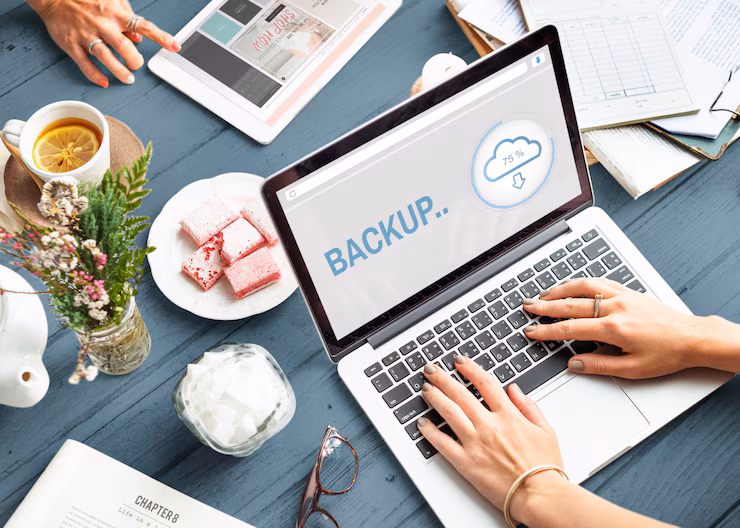 How to Back Up a WordPress Site using Plugins